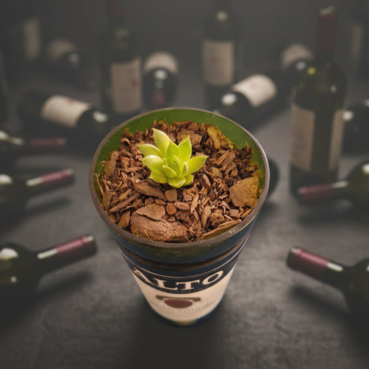 Bespoke Recycled self-watering planter with succulent in LP Bowl