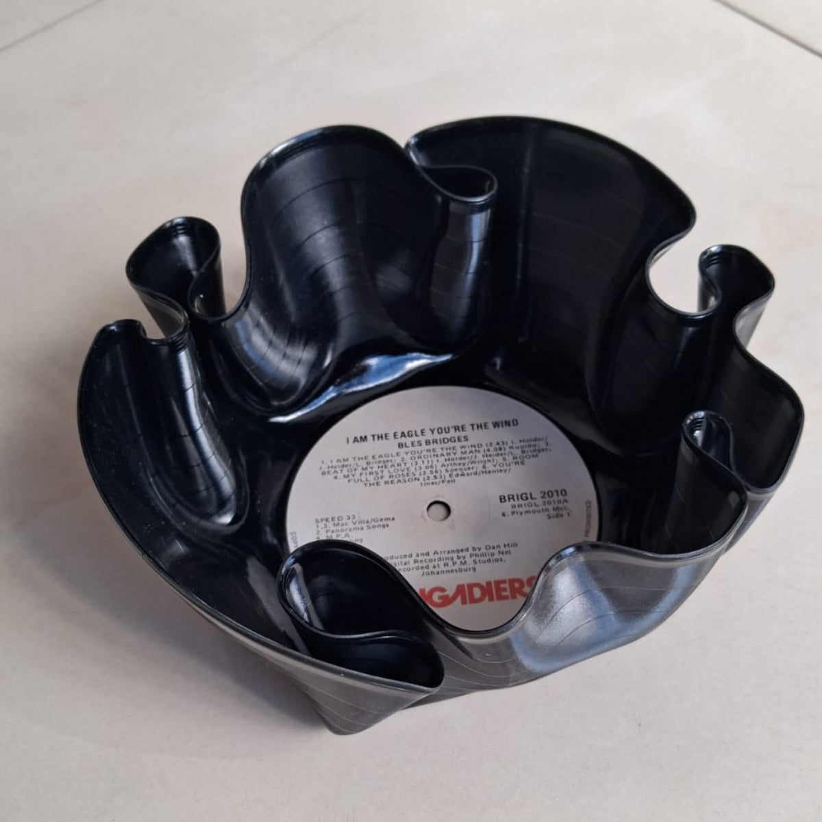 Bespoke LP Record Bowl Planters with Walking Iris Plants
