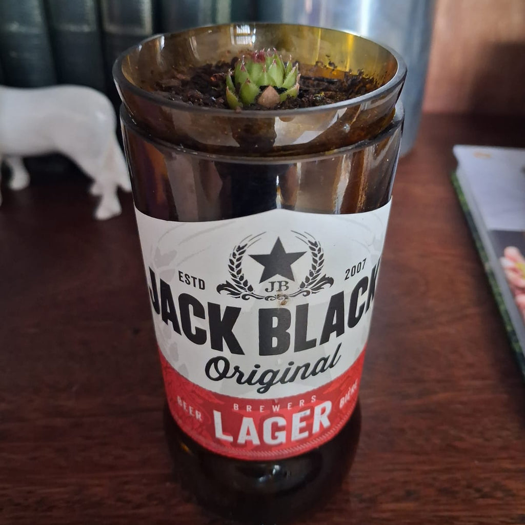 Bespoke Upcycled Beer Bottle Self-watering Planter